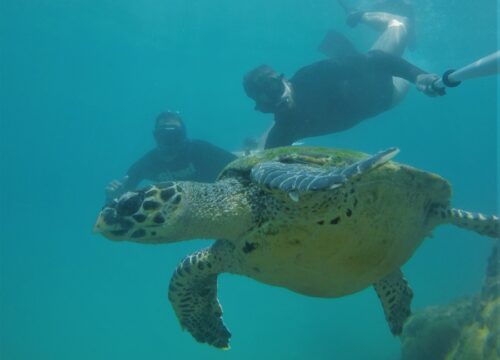 Um Dia em Arraial do Cabo – O Caribe Brasileiro